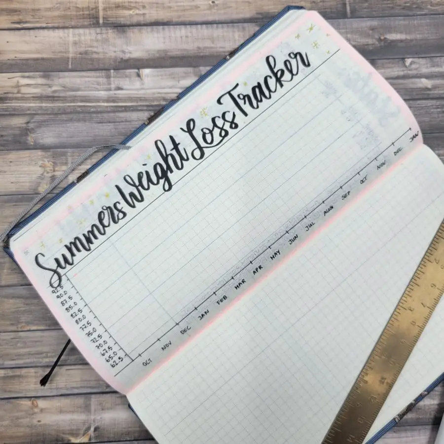 Hobonichi Weight Loss Tracker